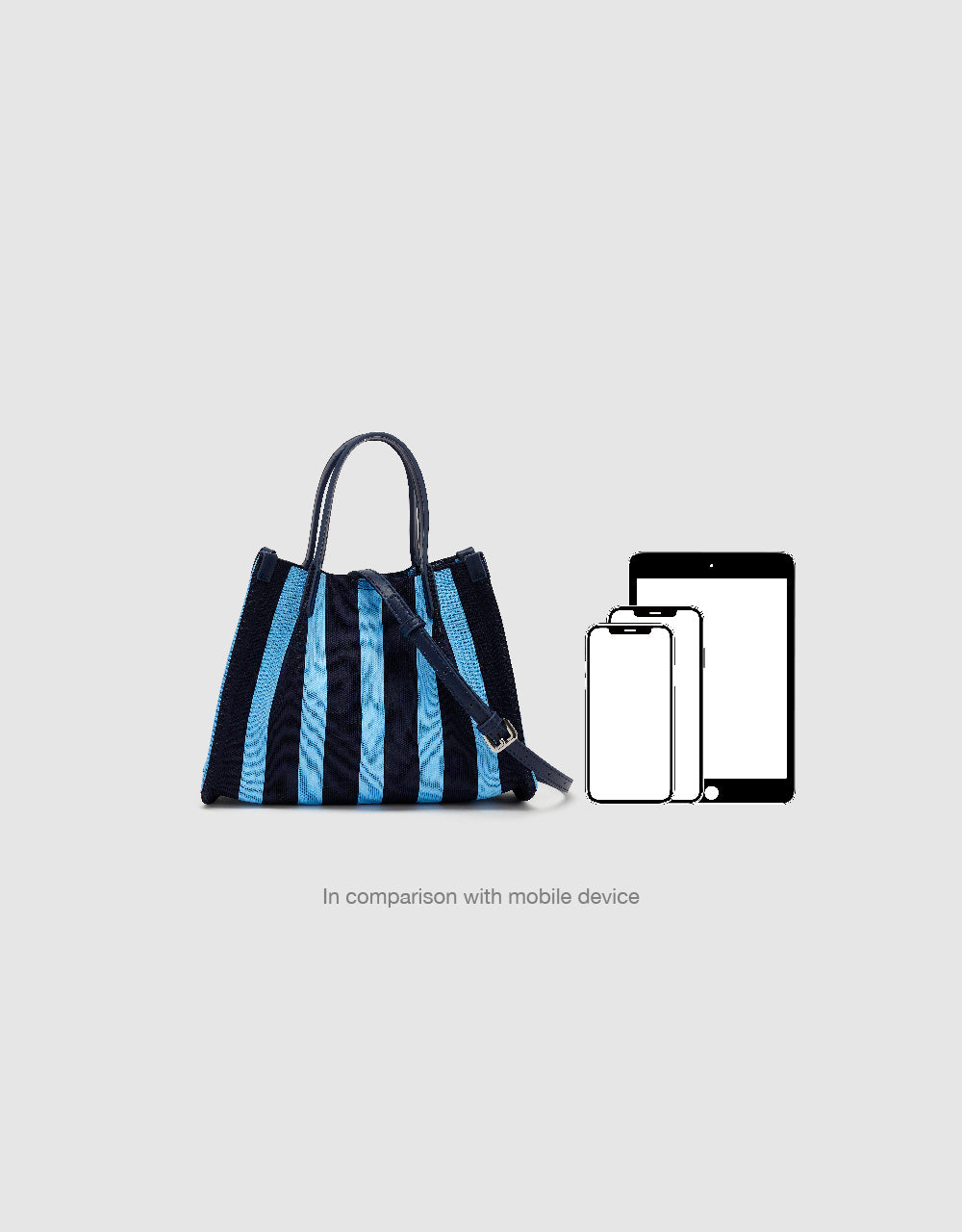 Striped Mini Tote Bag