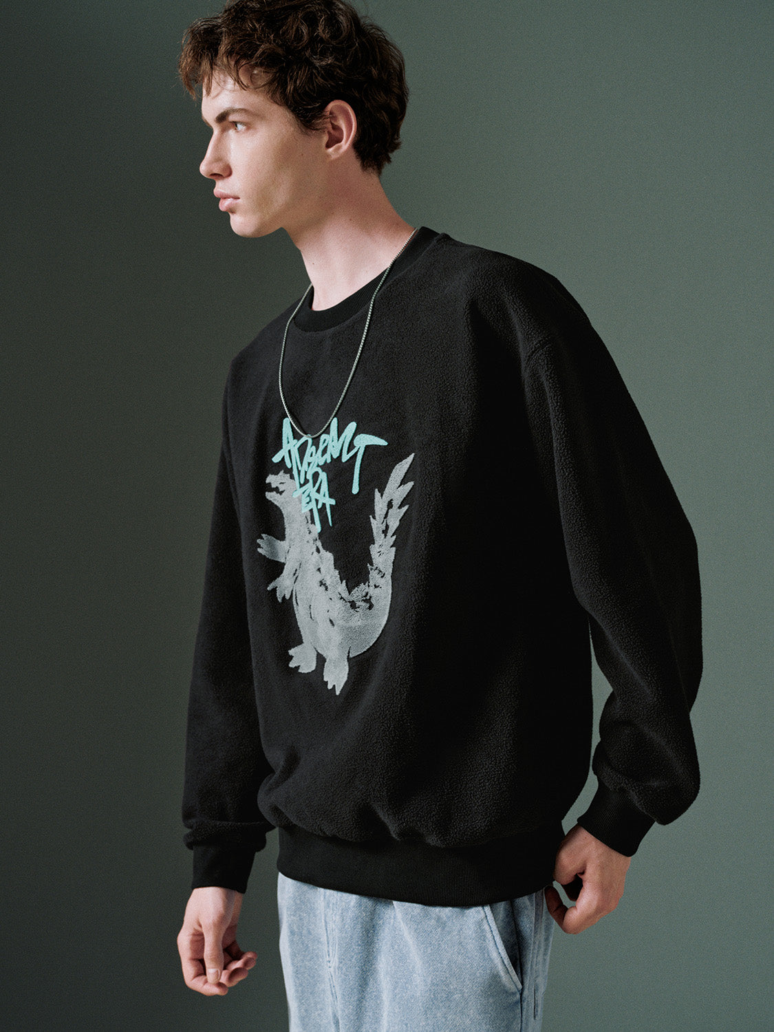 Dinosaur Printed Sweatshirts