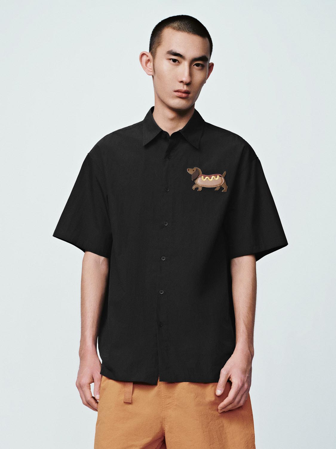 Short Sleeve Shirts