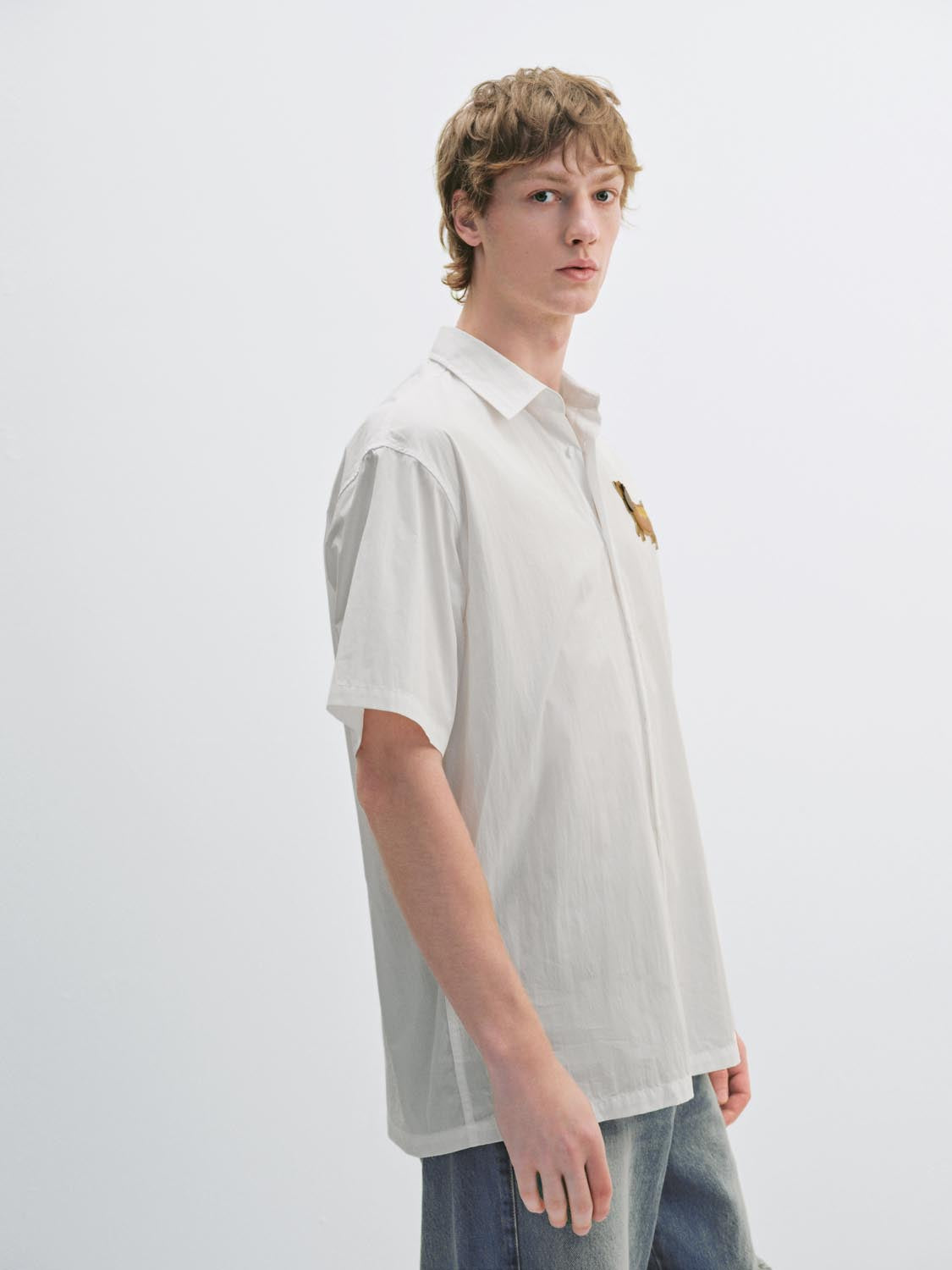 Short Sleeve Shirts