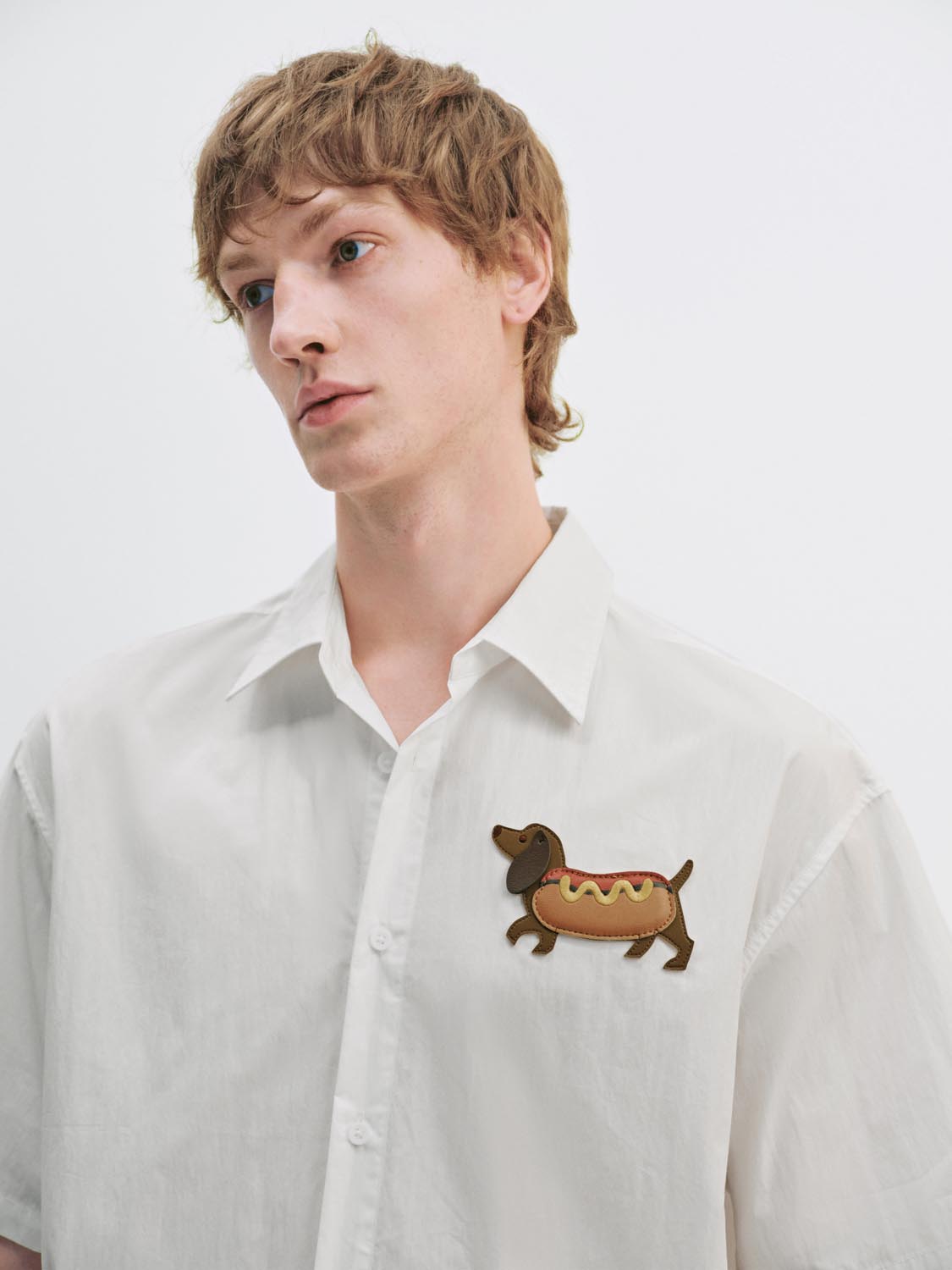 Short Sleeve Shirts