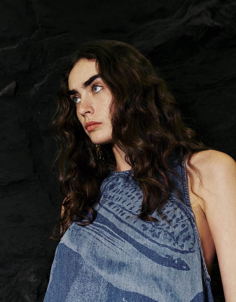 Printed Crew Neck Sleeveless Denim Dress