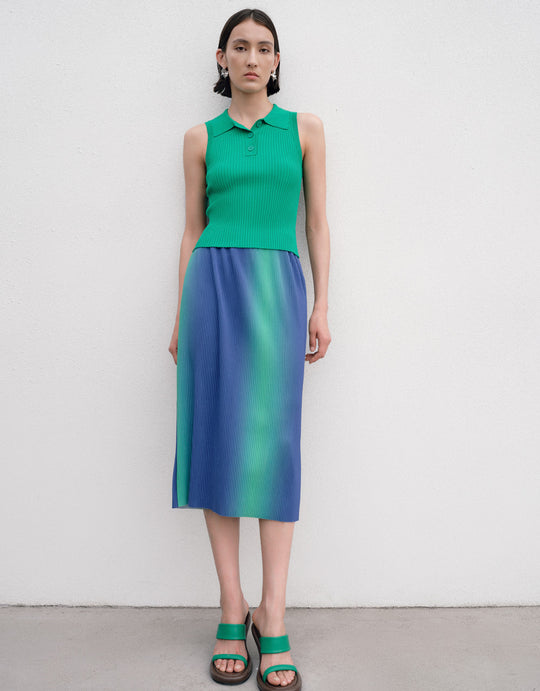 Knit Ombre Skirt