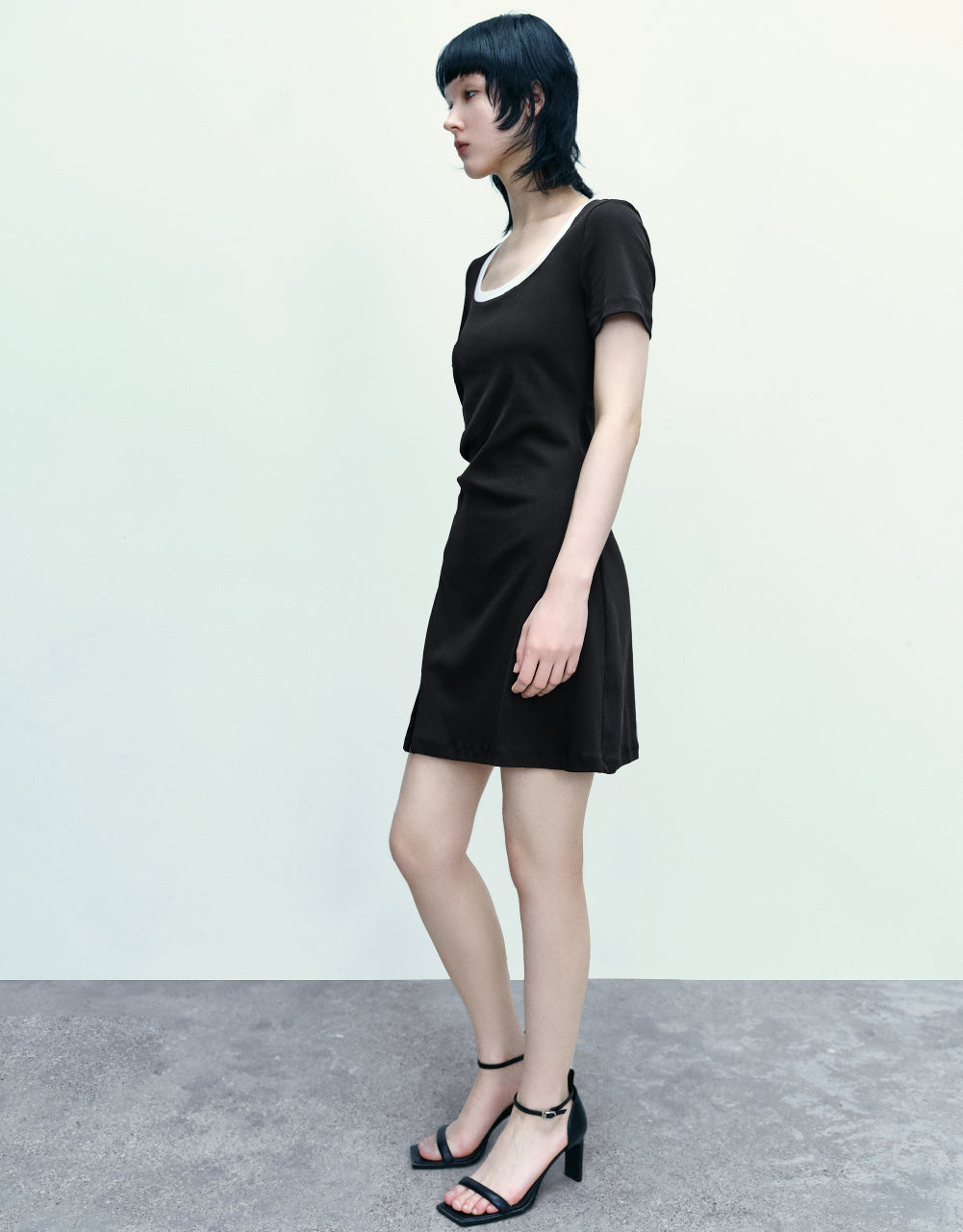 Crew Neck Skater Dress