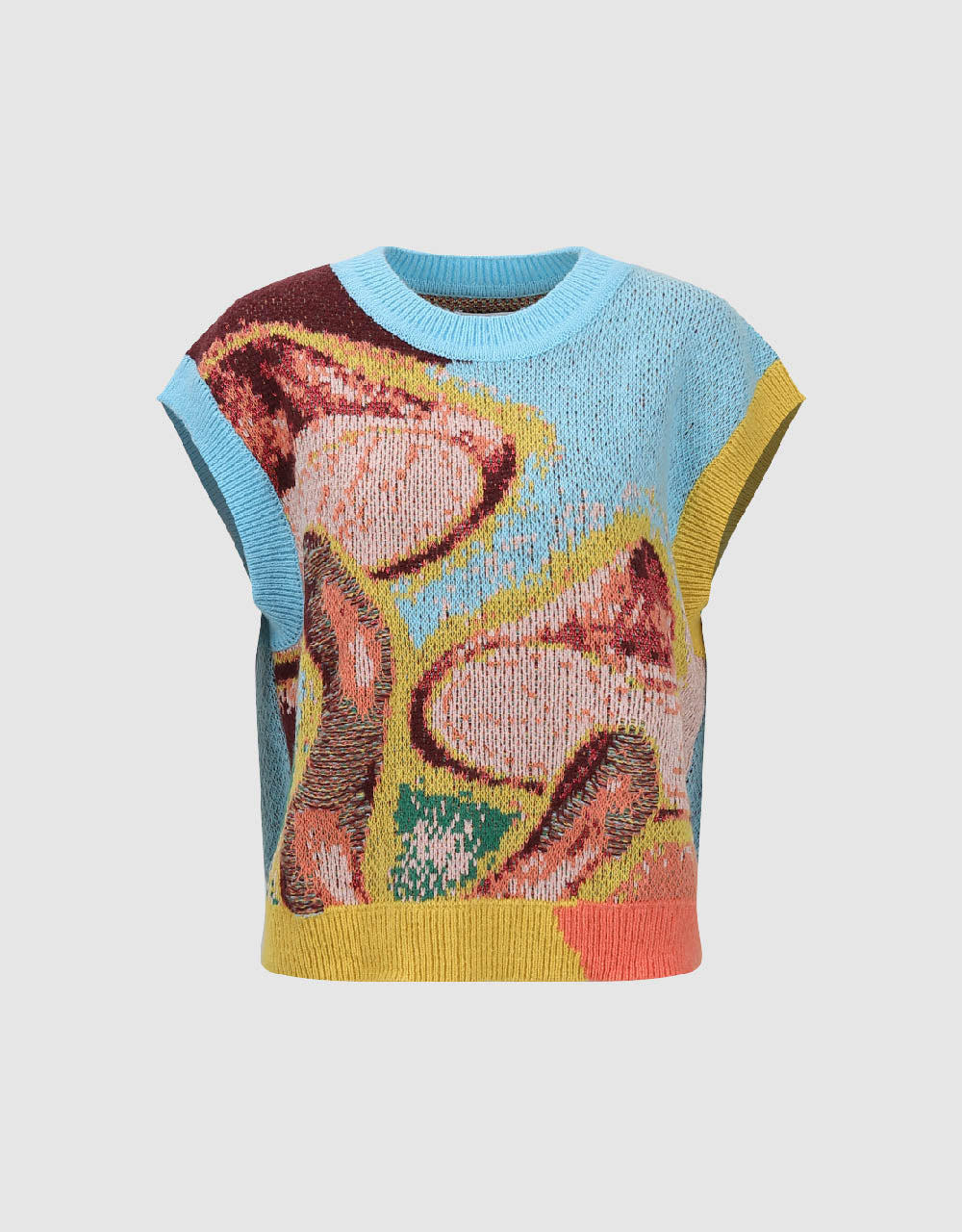 Printed Crew Neck Knitted Vest