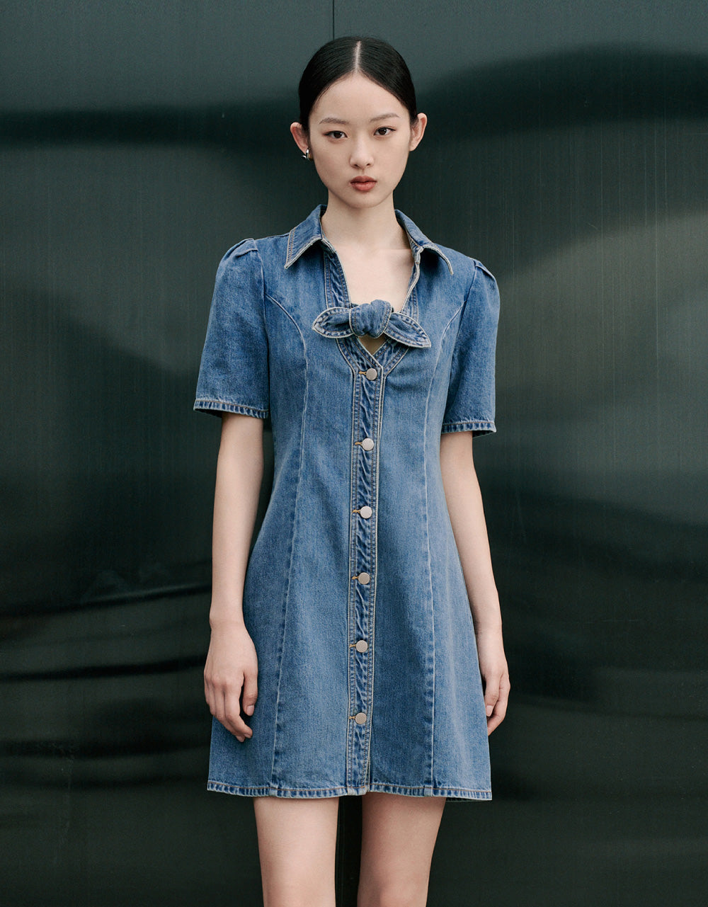 Shirt Sleeve V-Neck Denim Dress