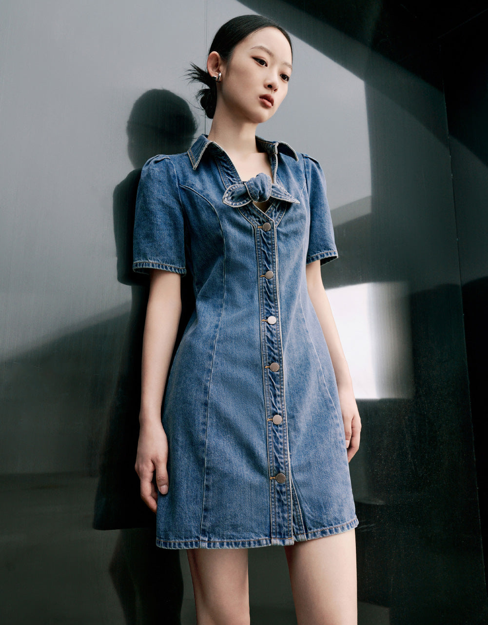 Shirt Sleeve V-Neck Denim Dress