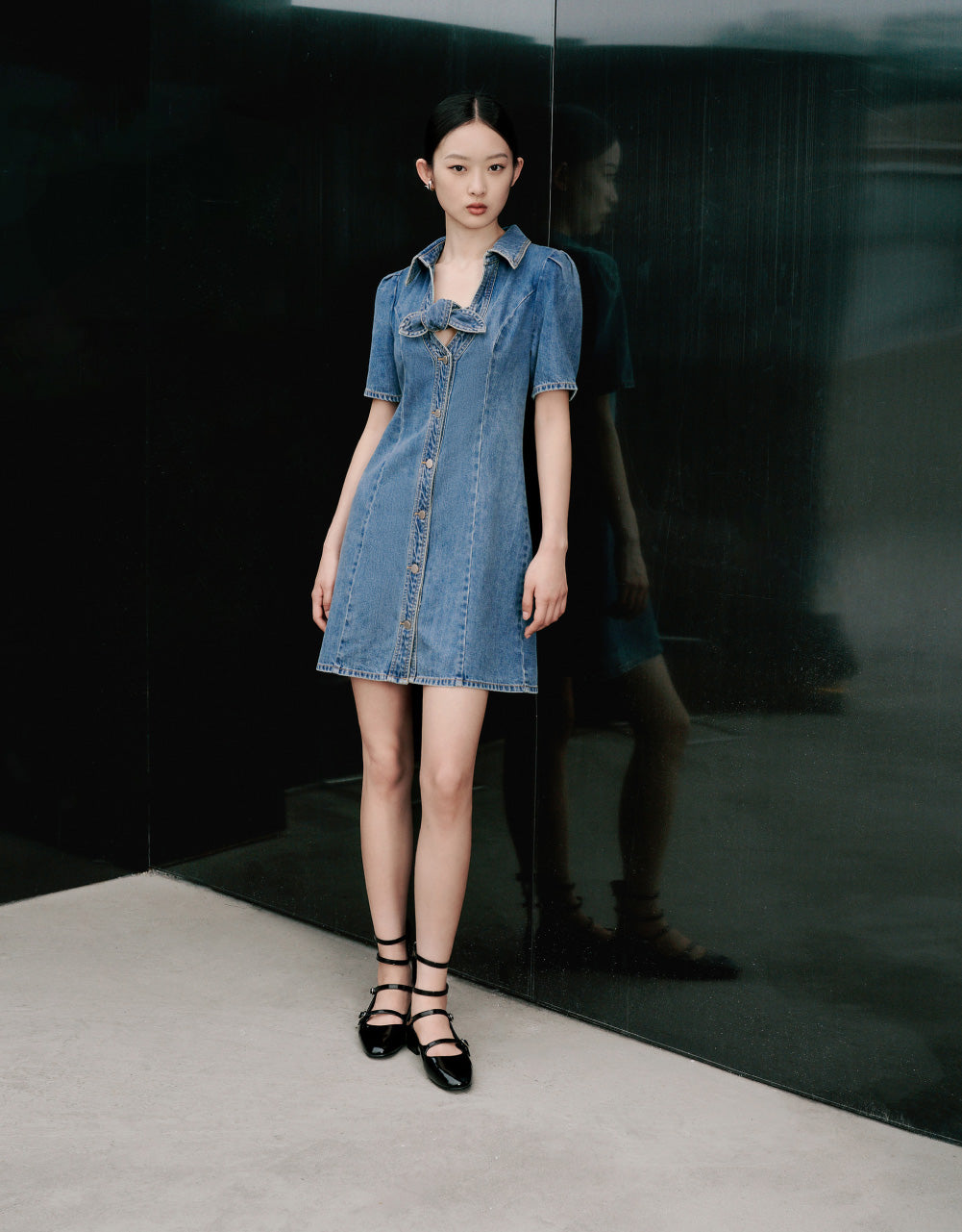 Shirt Sleeve V-Neck Denim Dress