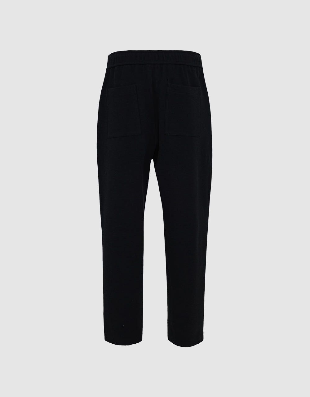 Elastic Waist Pleated Straight Pants