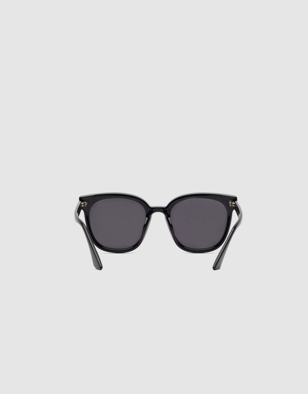 Geometric Polarizing Glasses