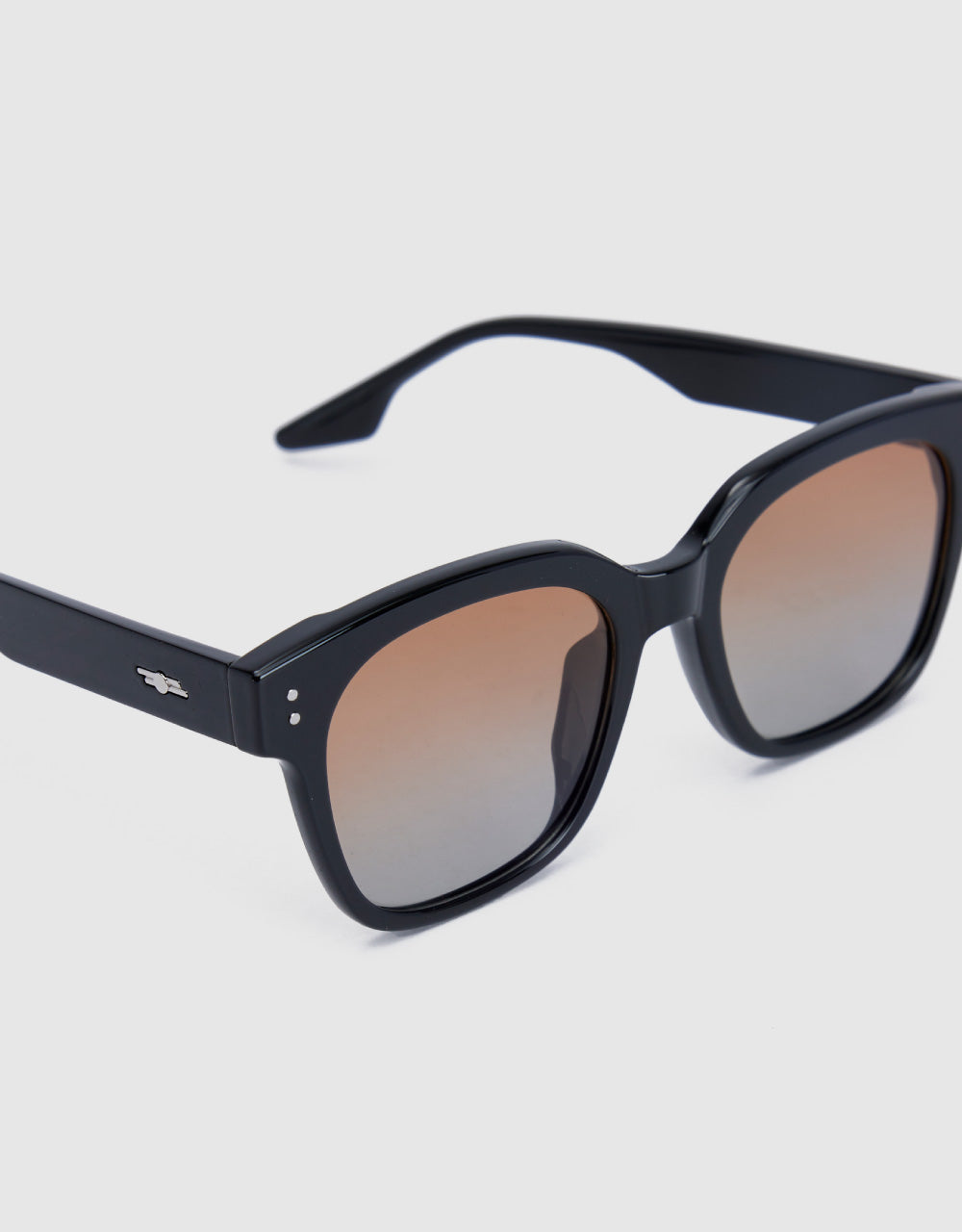 Browline Polarizing Glasses