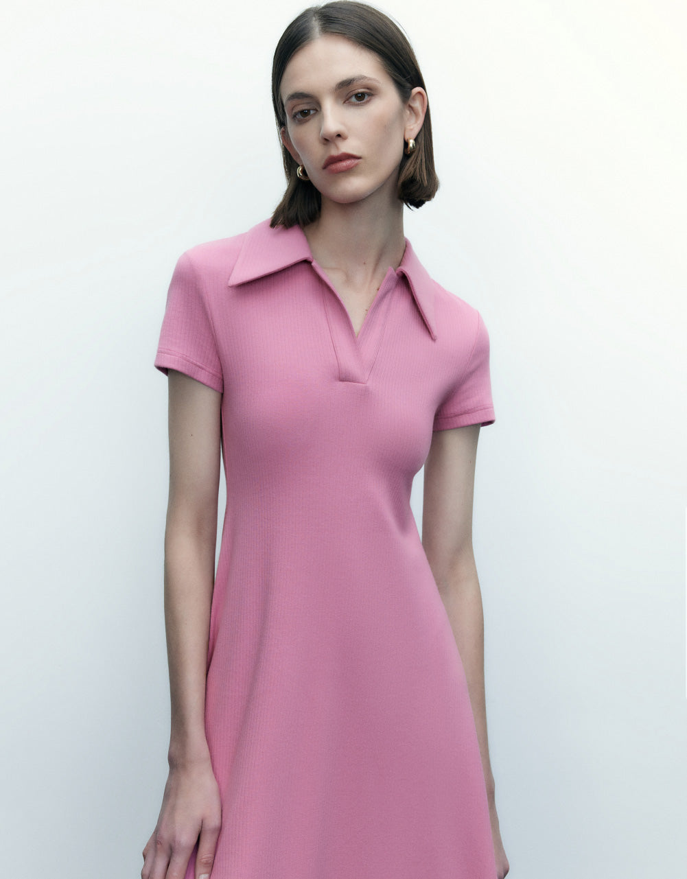 Standard Sleeve Lapel Skater Dress