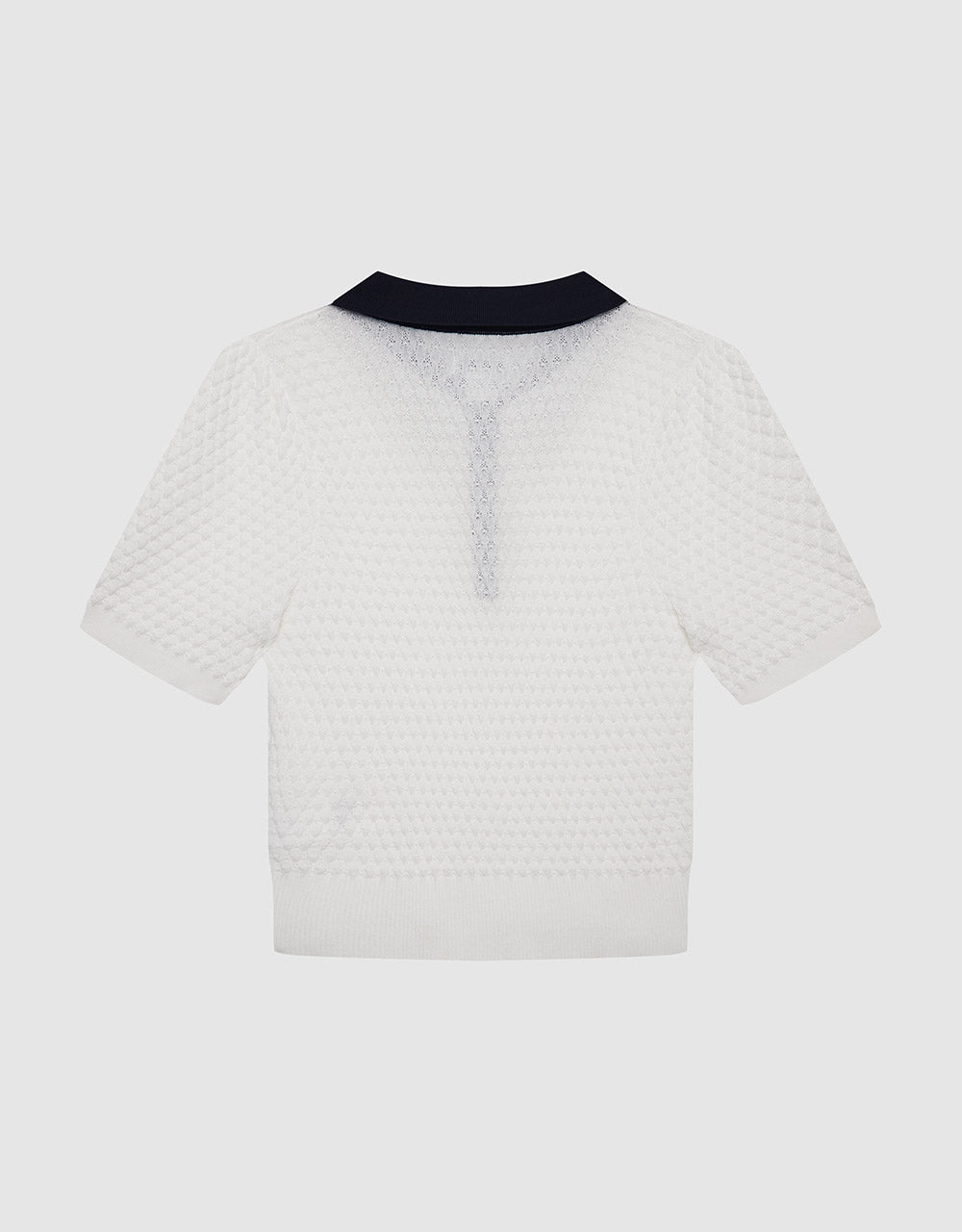 Contrast Collar Knitted Polo Shirt