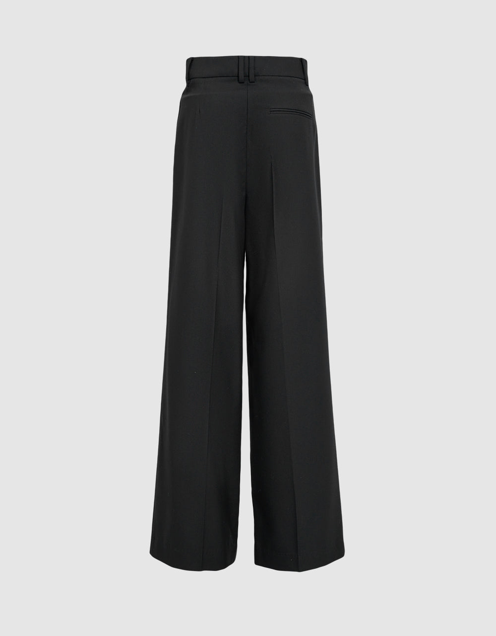 Pleated Wide Leg Pants