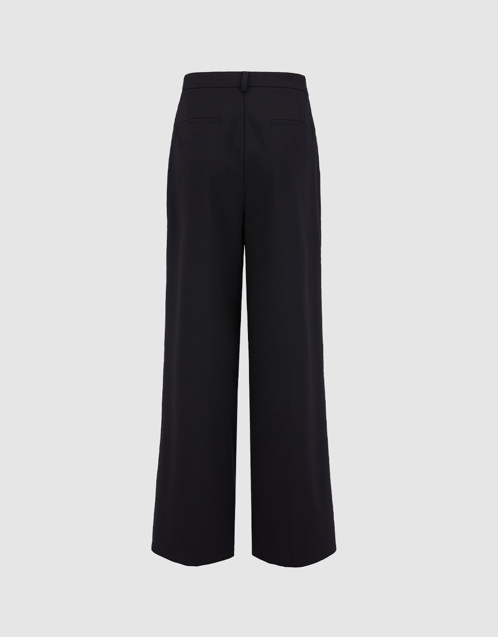 Pleated Wide Leg Pants